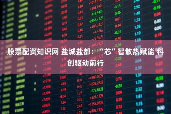 股票配资知识网 盐城盐都：“芯”智散热赋能 科创驱动前行